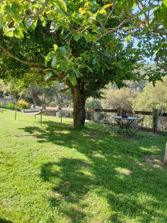 Bas De Villa Chez Mr.Girolami Dominique บาสเตีย ภายนอก รูปภาพ